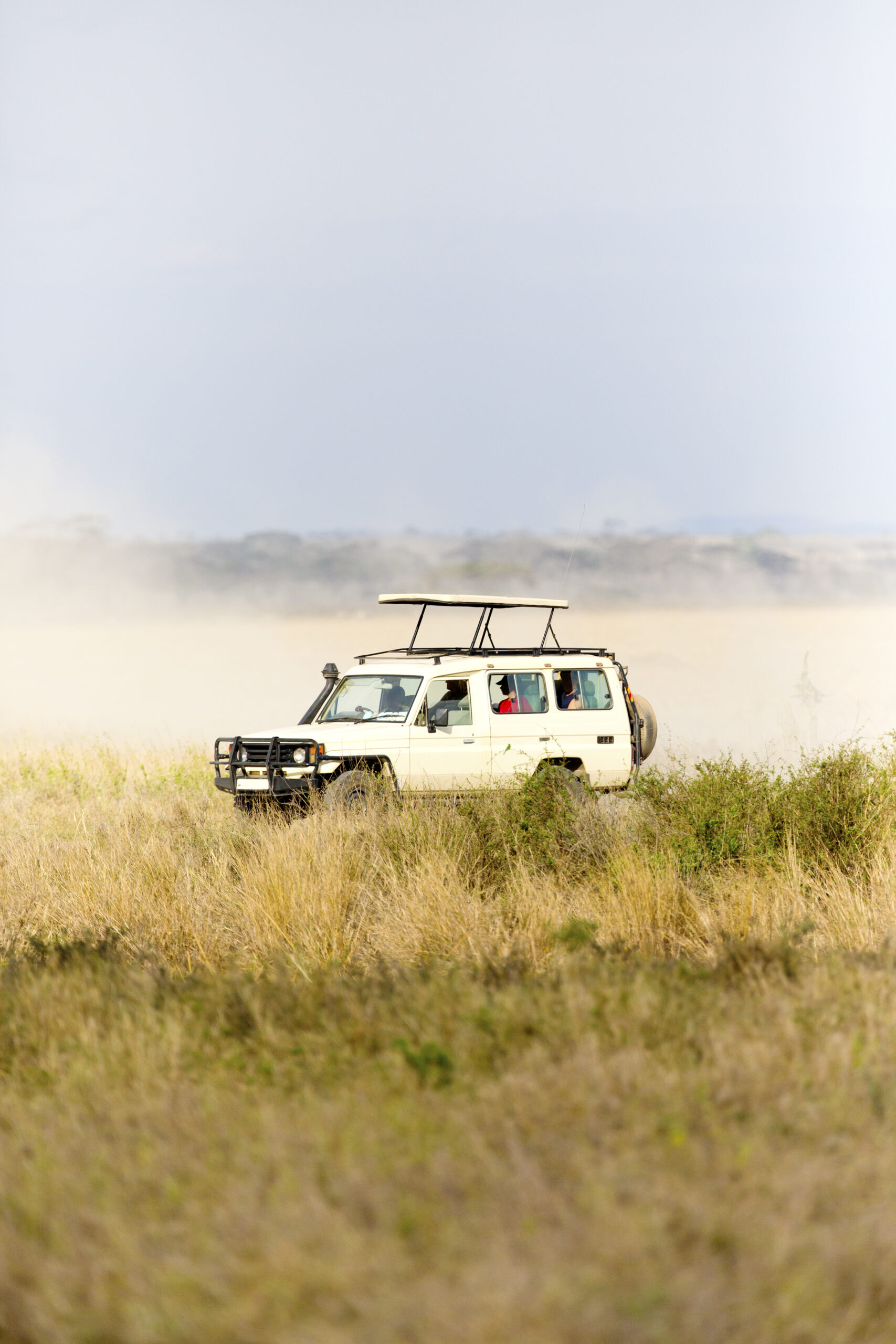 One safari car in high speed on game drive at the great plains of Serengeti, Tanzania.